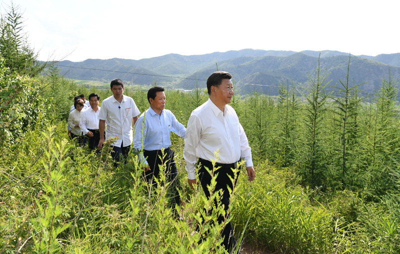 7月15日至16日，中共中央總書記、國家主席、中央軍委主席習近平在內(nèi)蒙古考察并指導開展“不忘初心、牢記使命”主題教育。這是15日下午，習近平在赤峰市喀喇沁旗馬鞍山林場林區(qū)，沿著崎嶇的護林小道察看林木長勢。